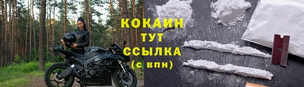 стафф Аркадак