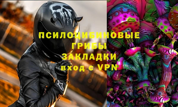 стафф Аркадак
