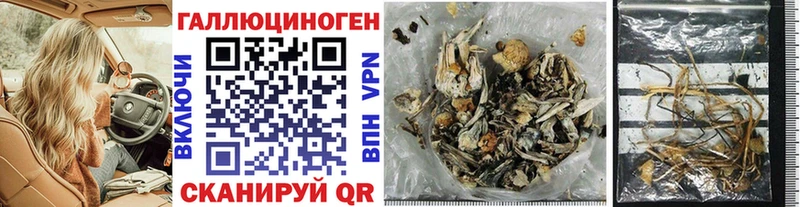 Псилоцибиновые грибы GOLDEN TEACHER  где можно купить   Покров 