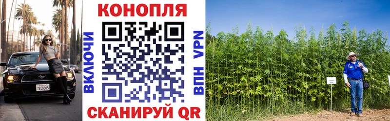 МАРИХУАНА план Покров